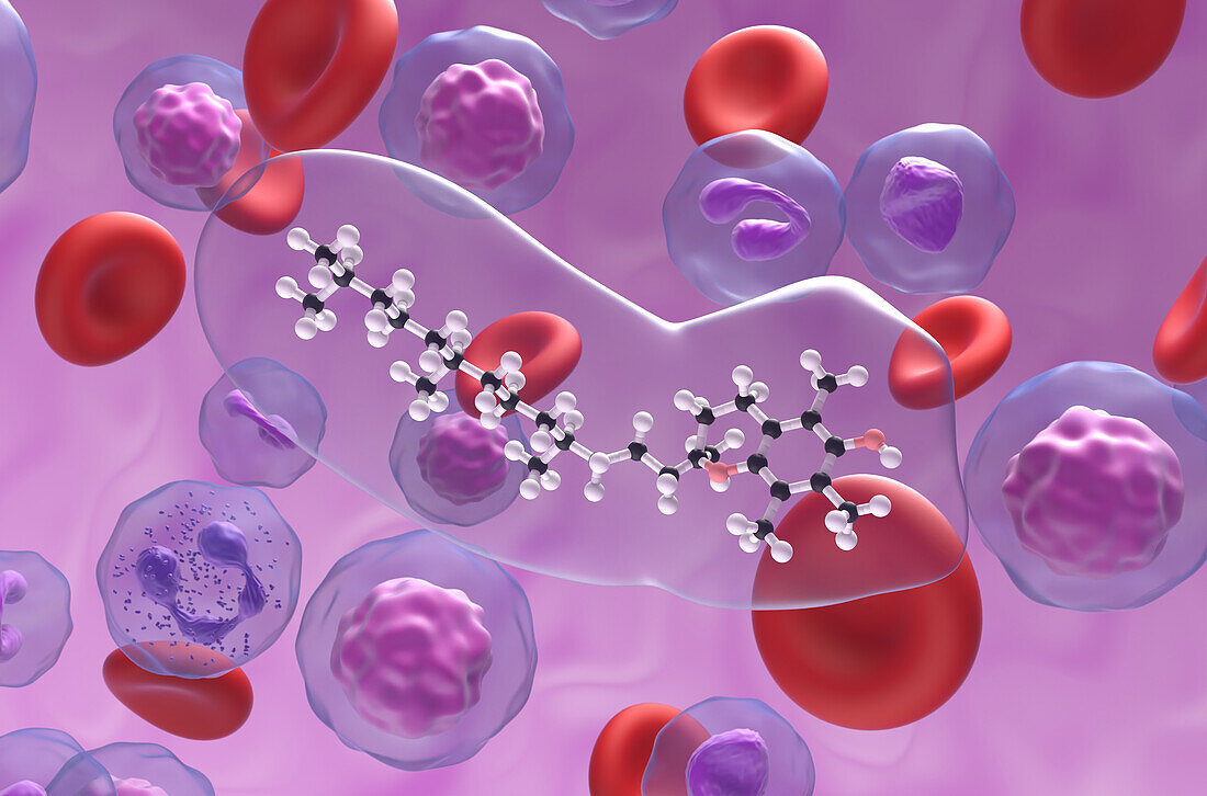 Vitamin E molecule, illustration