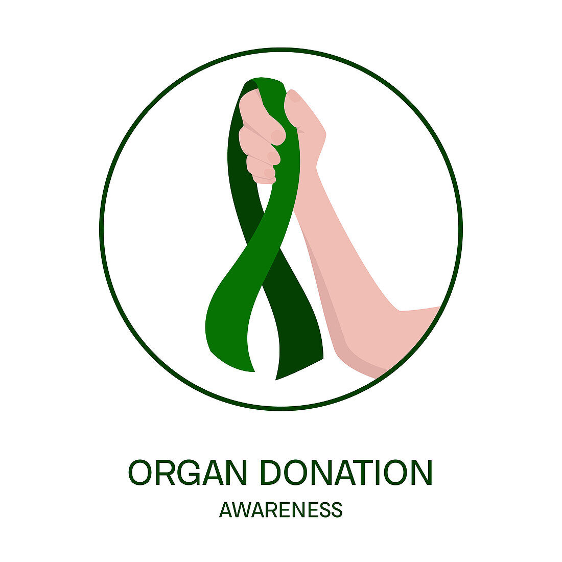Organ donation, conceptual illustration