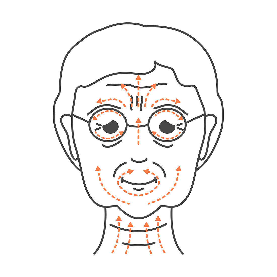 Face massage, conceptual illustration