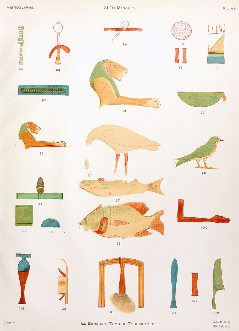 Hieroglyphs from El Bersheh, Tomb of Tehutihetep, illustration
