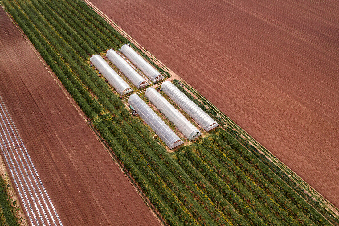 Aerial view of cultivated field with plastic greenhouse