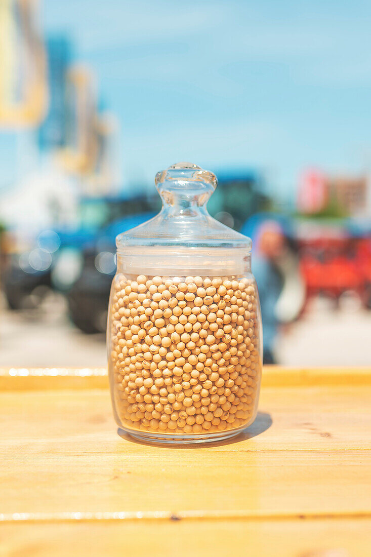 Soybean grains in a jar