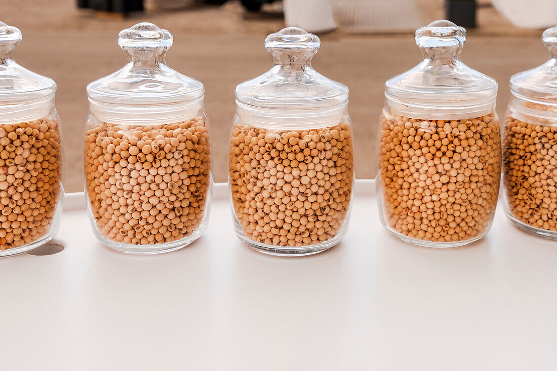 Harvested soybeans in jars