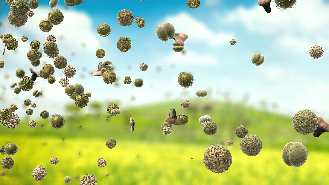 Pollen particles in the air, illustration