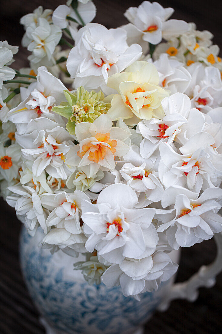Fragrant daffodils in a large vase