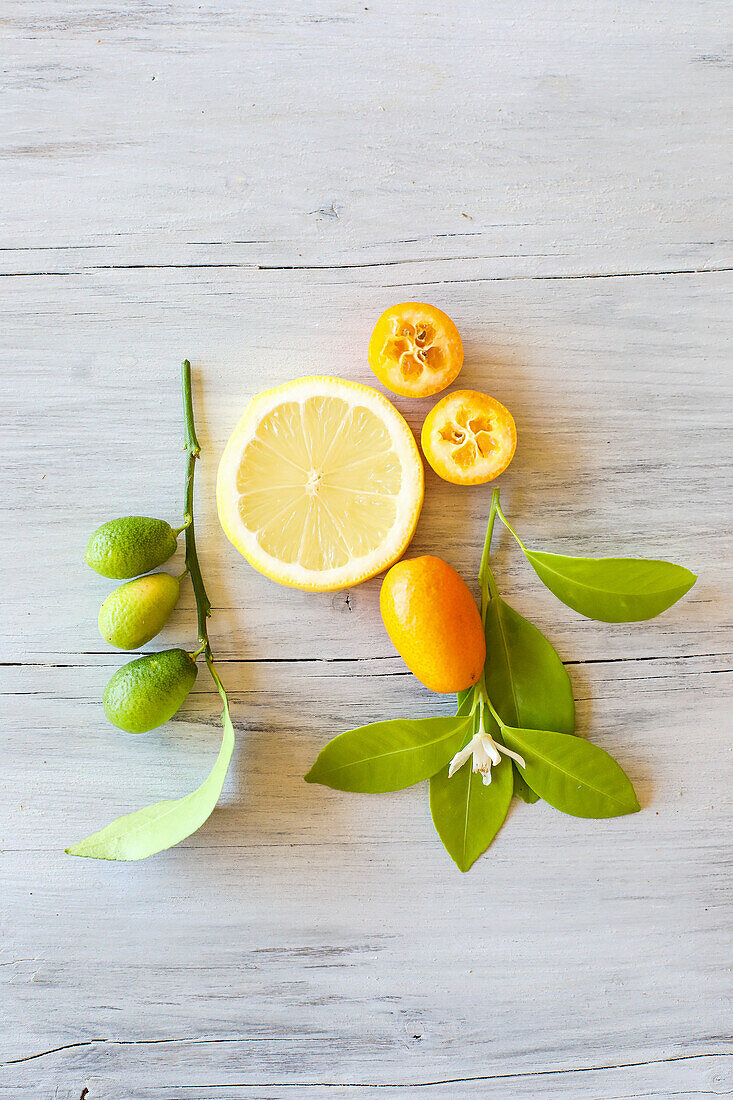 Kumquats, lemon slice, kumquat blossom, kumquat leaves