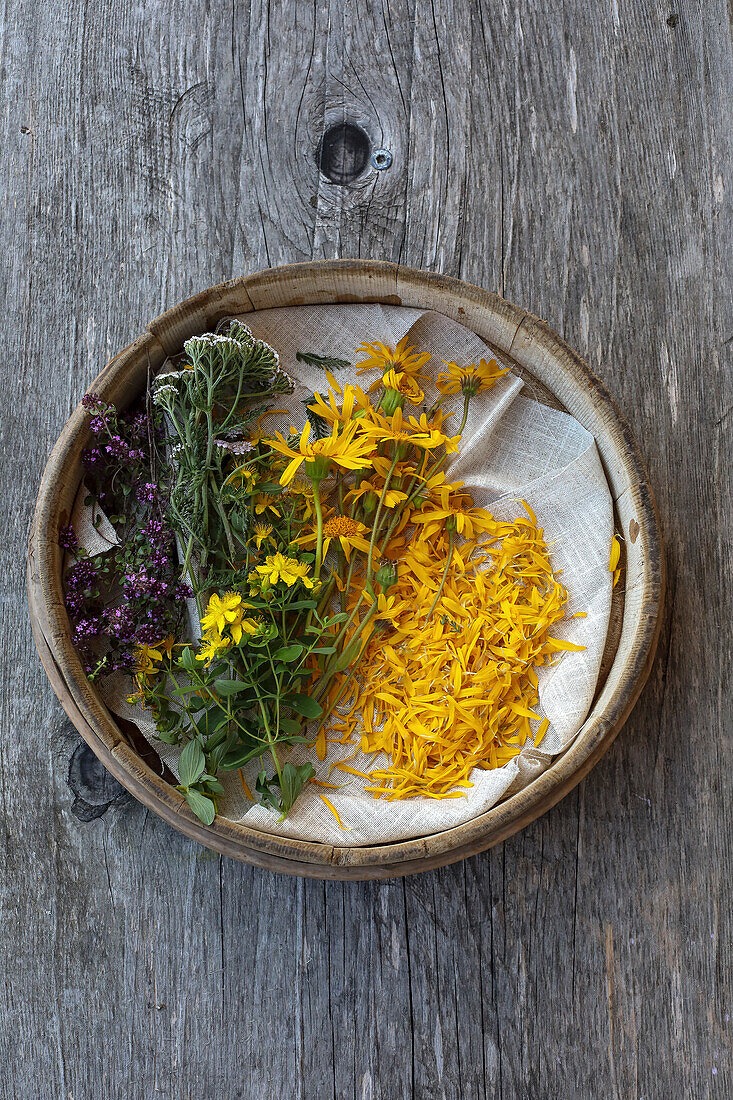 Quendel, yarrow, St John's wort and arnica