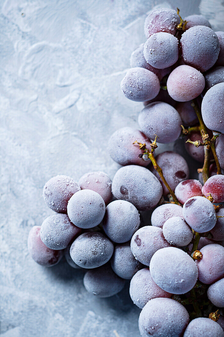 Frozen purple grapes on a grey background
