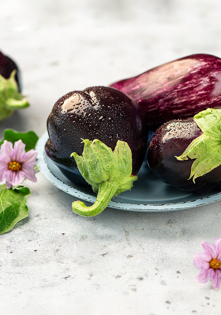 Aubergine varieties, aubergine leaves and aubergine flowers