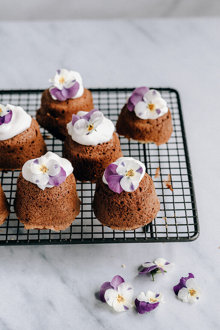 Schokoladen-Cupcakes mit essbaren Stiefmütterchen