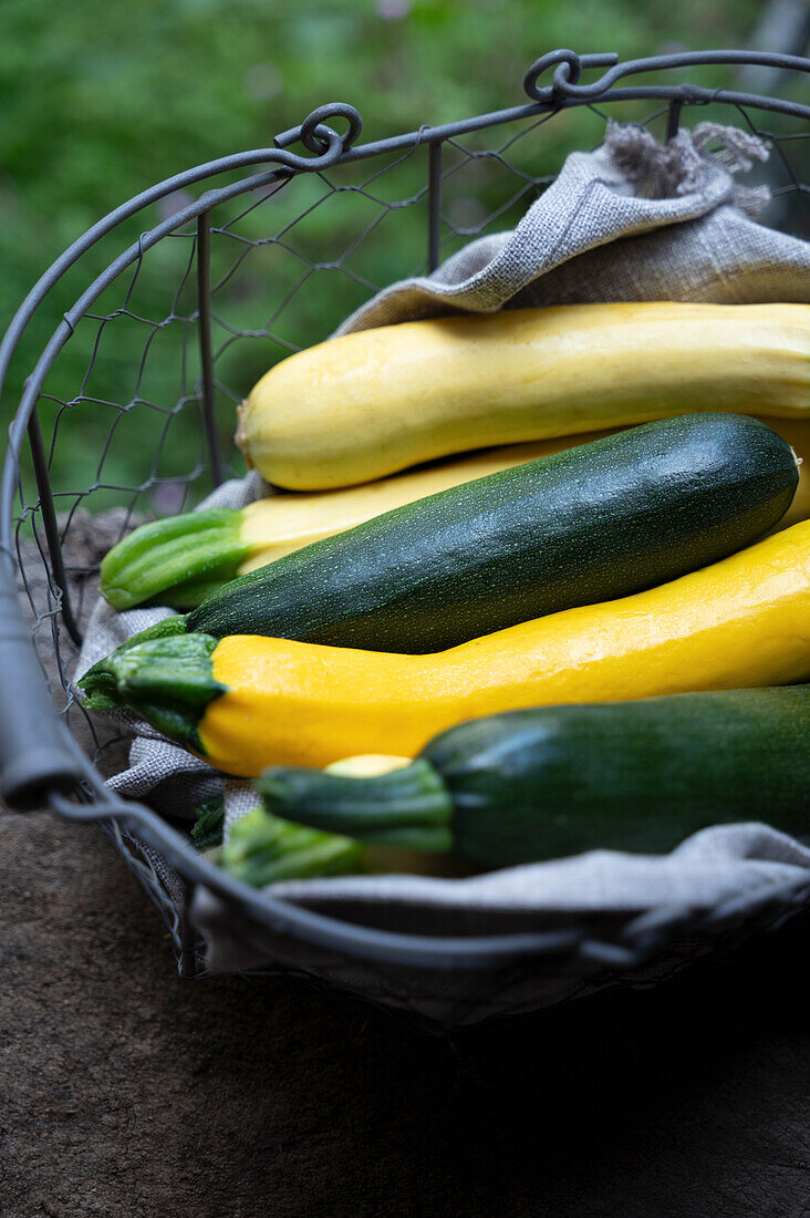 Verschiedene Sorten Zucchini in Drahtkorb