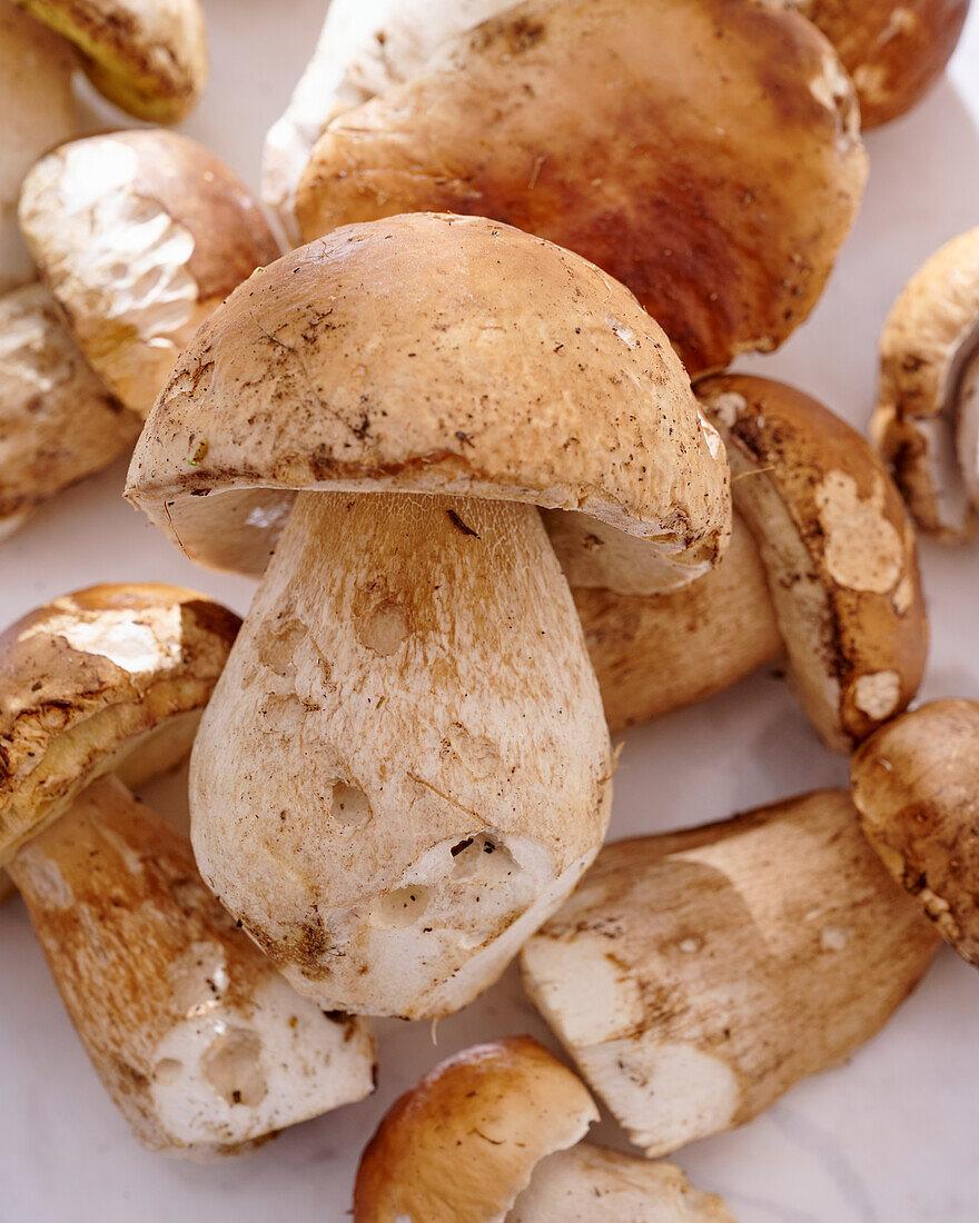 Raw, cleaned porcini mushrooms