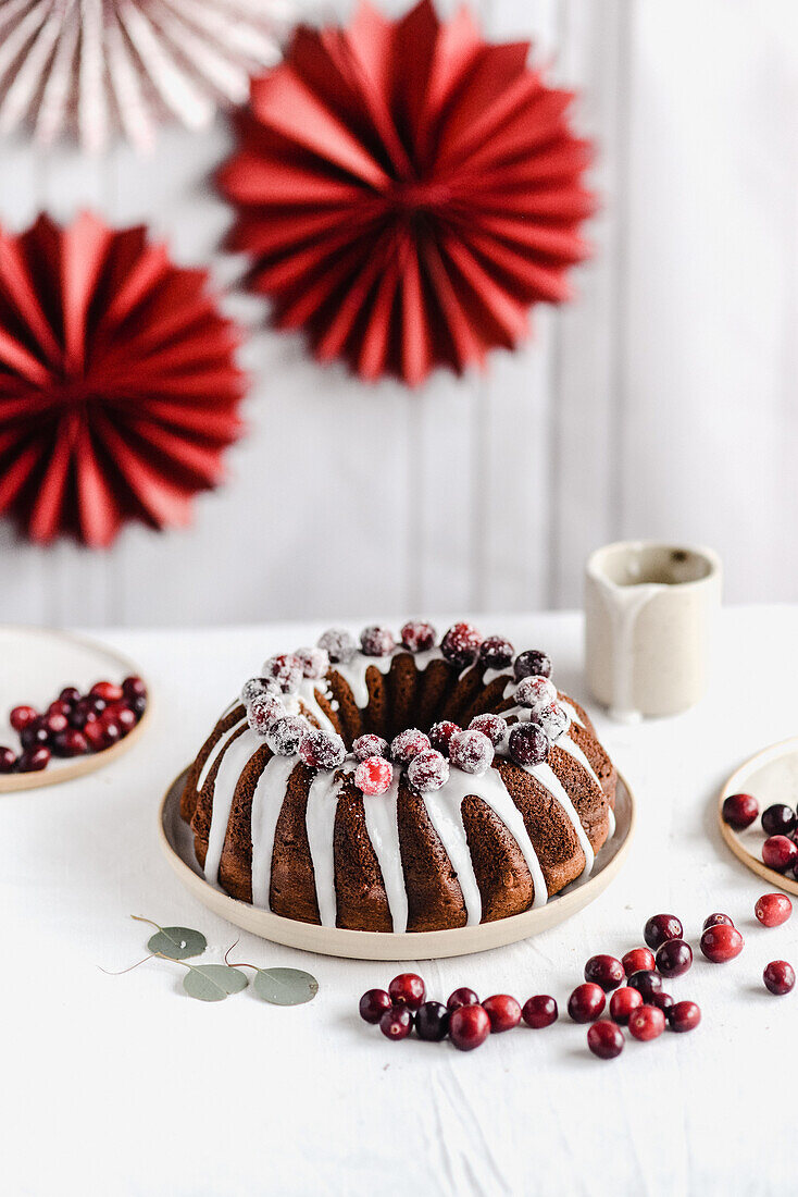 Chocolate cake with icing and cranberries