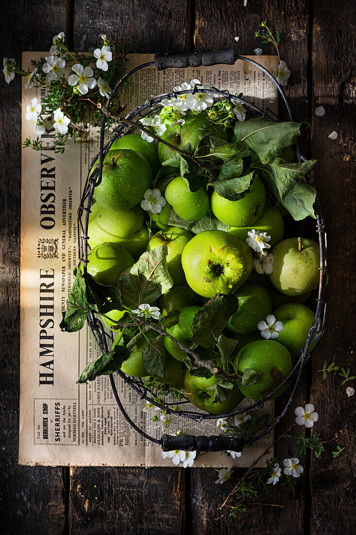 Basket of mixed green apples