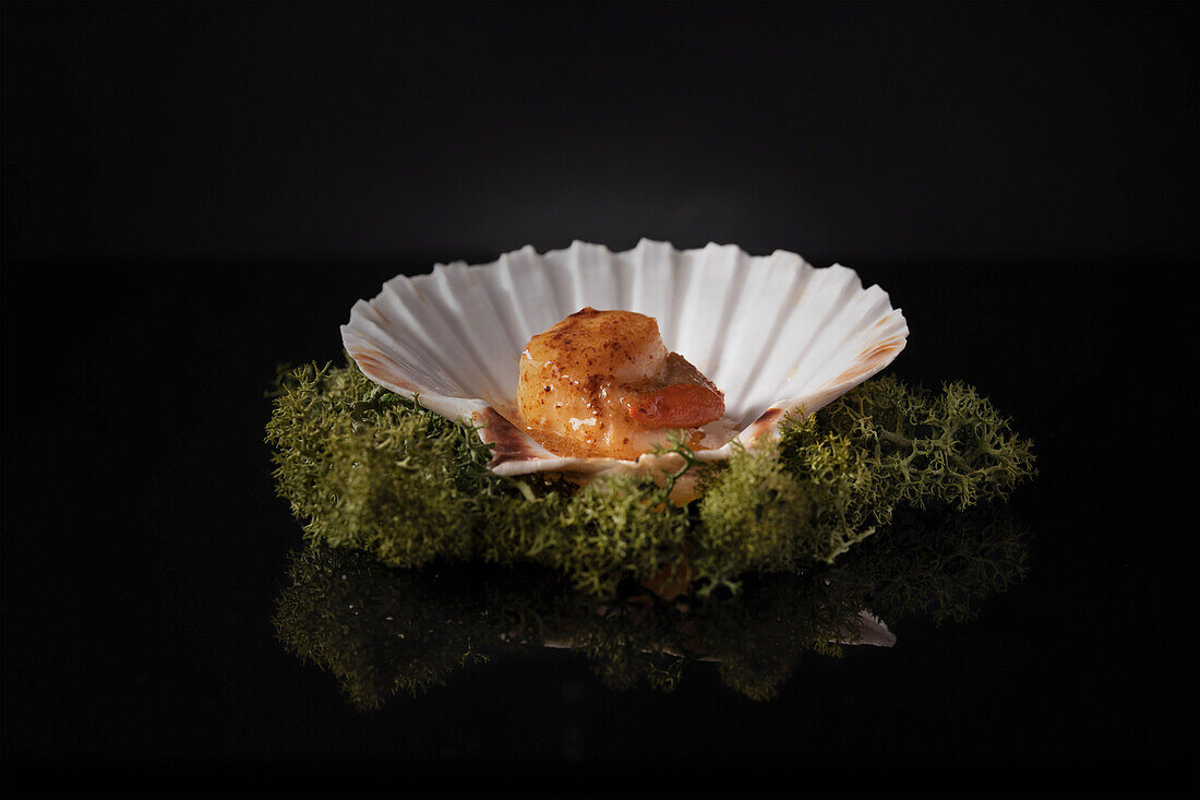 Scallops fried in butter, served in their shells on a bed of moss