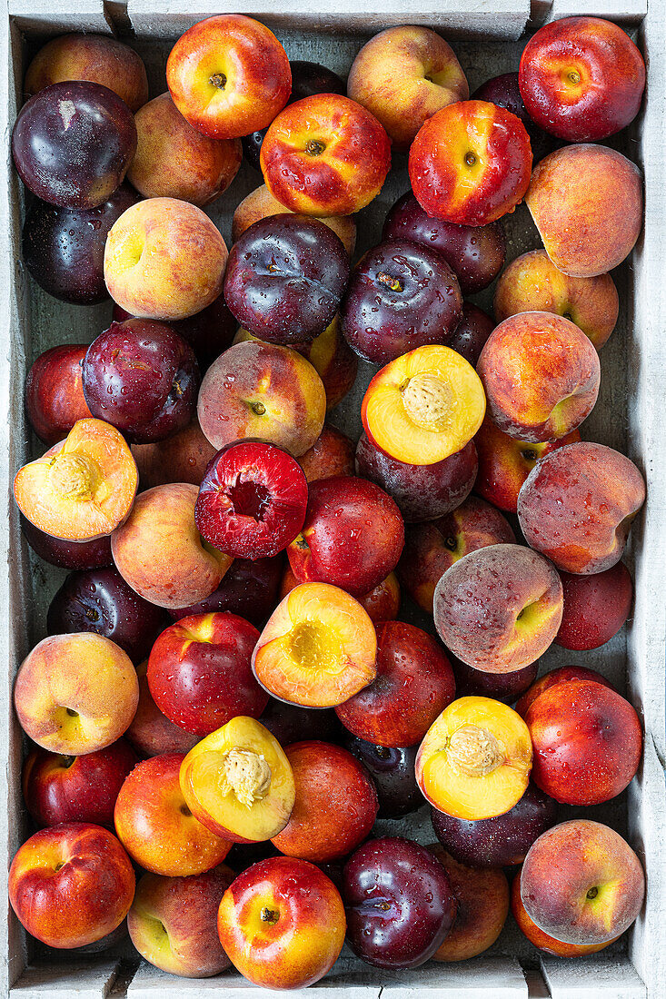 Selection of nectarines, peaches and plums in a wooden crate
