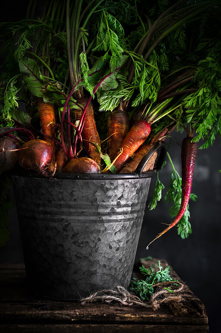 Zinc bucket full of mixed colourful carrots