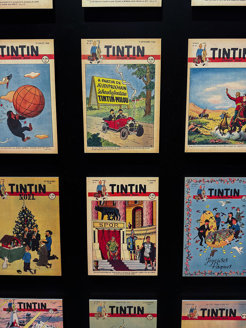 Verschiedene Einbände der Abenteuer von Tim und Struppi-Comics von Herge