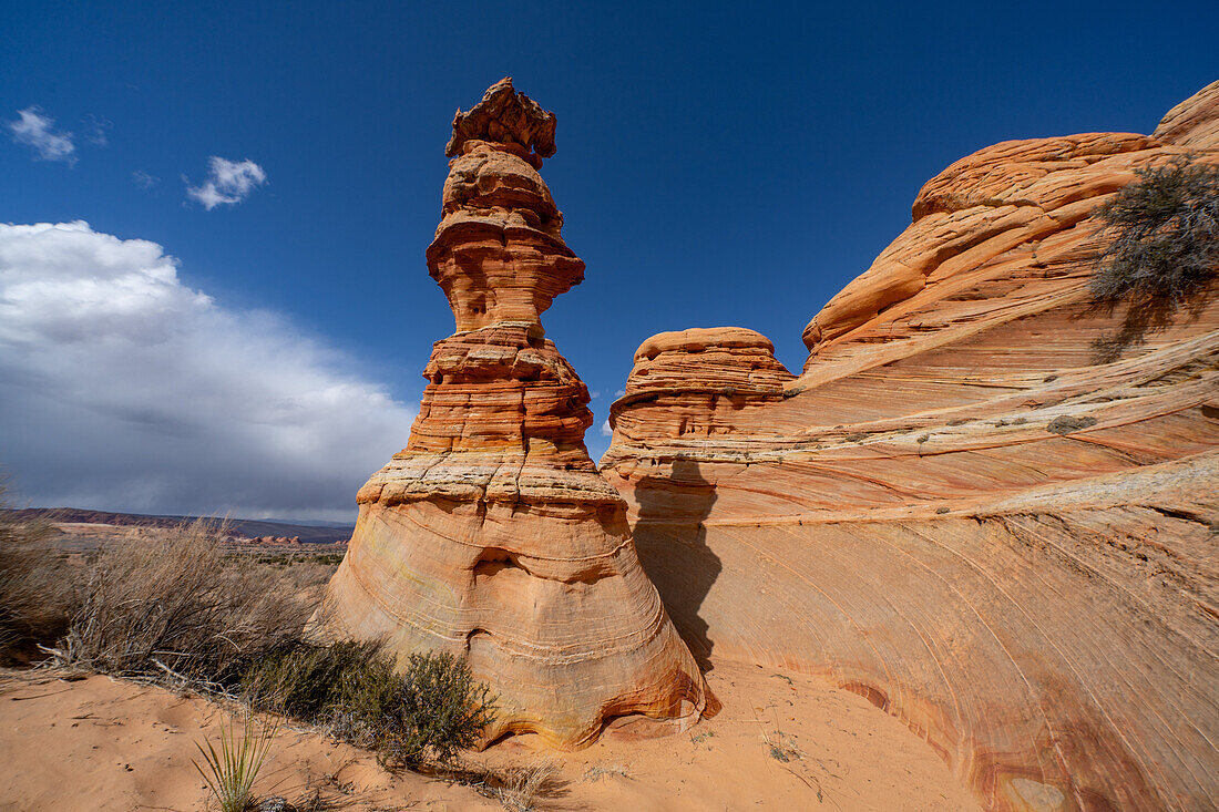 Die Schachkönigin oder der Totempfahl ist ein erodierter Sandsteinturm in der Nähe von South Coyote Buttes, Vermilion Cliffs National Monument, Arizona