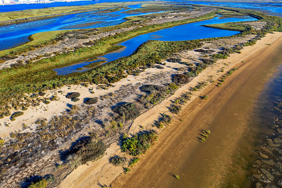 Aerial view on Playa del Espigon Juan Carlos I beach, marshlands, Marismas del Odiel Bahia de Cadiz Natural Park. Costa de la Luz, Cadiz province, Andalucia, Spain.