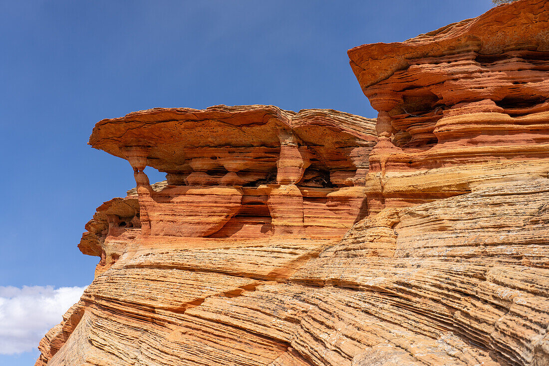 Micro arch detail in the Navajo sandstone near South Coyote Buttes, Vermilion Cliffs National Monument, Arizona.