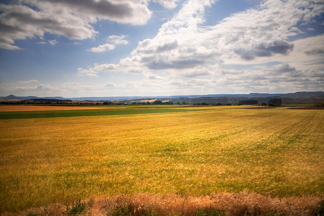 Sigüenza medieval train, from Madrid Chamartin station to the city of Sigüenza, Guadalajara, Spain.