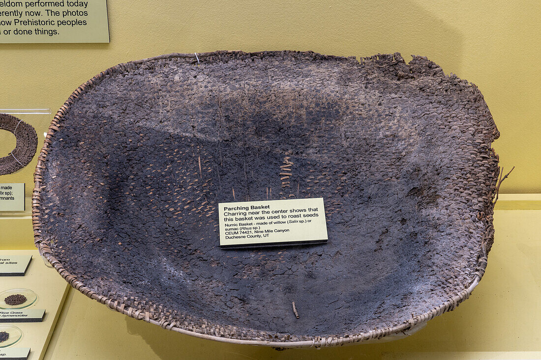 A charred Native American roasting basket in the USU Eastern Prehistoric Museum in Price, Utah.
