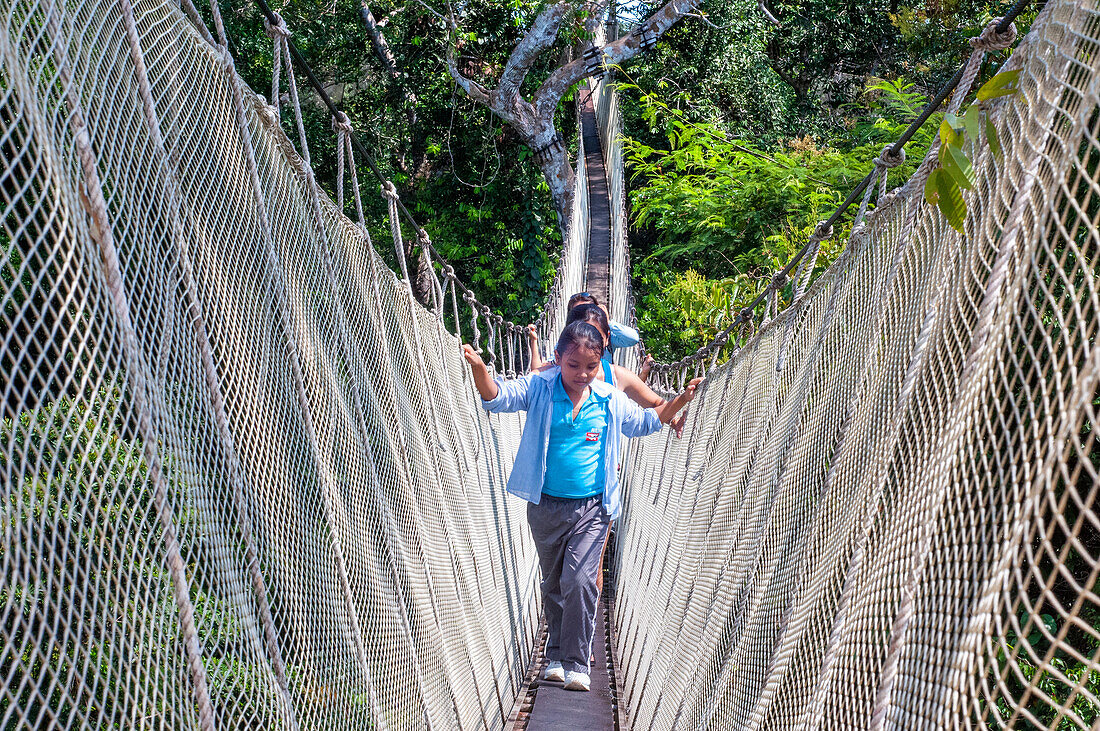 Erhöhte Hängebrücken. Ein Regenwald-Hängebrückenweg im Tambopata-Nationalpark im Inkaterra-Amazonica-Reservat. Besucher haben einen Blick aus der Vogelperspektive vom Amazonas-Dschungel Laufsteg am Fluss Napo Camp Explorama Tours in Peru. Iquitos, Loreto, Peru. Der Amazon Canopy Walkway, eine der längsten Hängebrücken der Welt, die es ermöglicht, die Tiere des Urwalds aus einer Höhe von 37 Metern zu beobachten und über die 14 höchsten Bäume der Gegend zu schweben