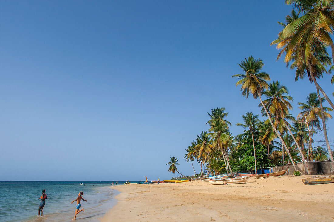 Las Terrenas beach, Samana, Dominican Republic, Carribean, America. Tropical Caribbean beach with coconut palm trees.