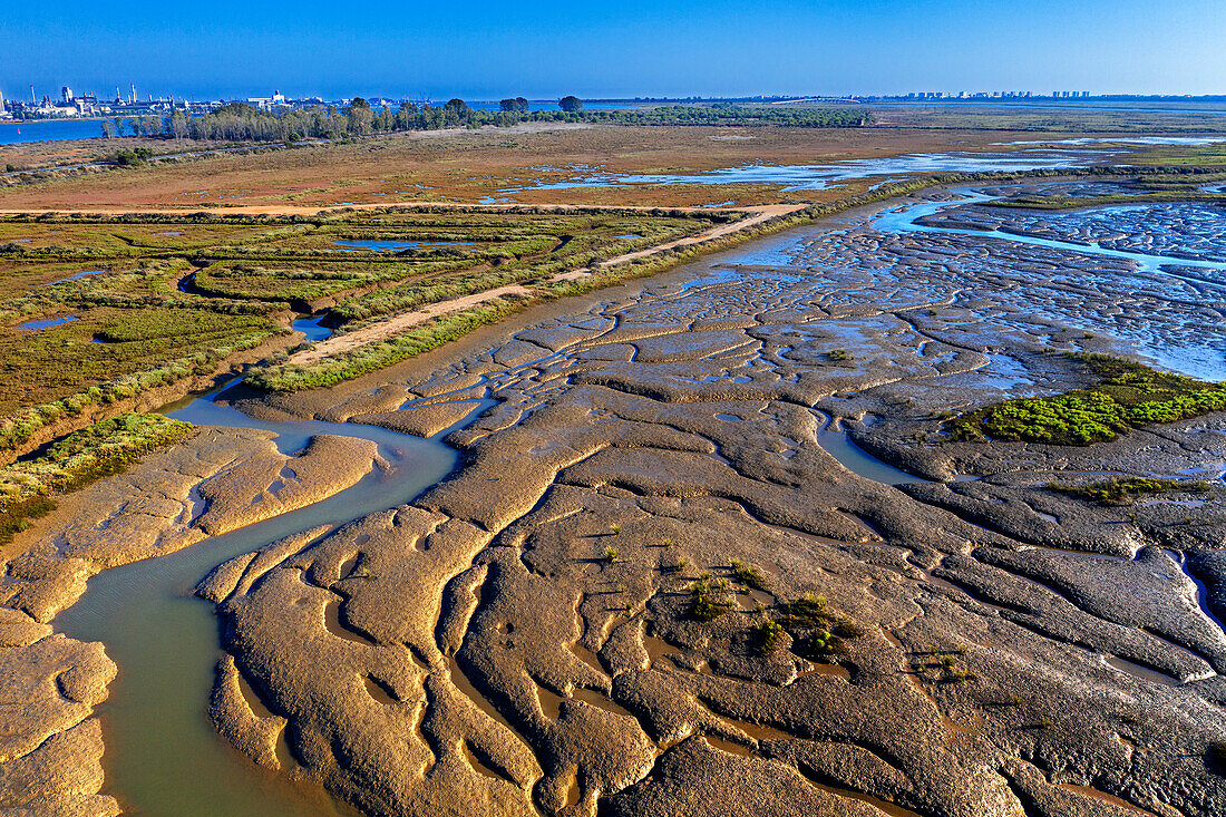 Luftaufnahme des Strandes Playa del Espigon Juan Carlos I, Sumpfgebiet, Naturpark Marismas del Odiel Bahia de Cadiz. Costa de la Luz, Provinz Cádiz, Andalusien, Spanien