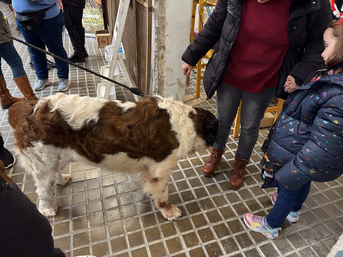 Tiermarkt ZGZ in der alten Enrique-Coca-Fabrik in der Calle San Pablo, Zaragoza, Spanien