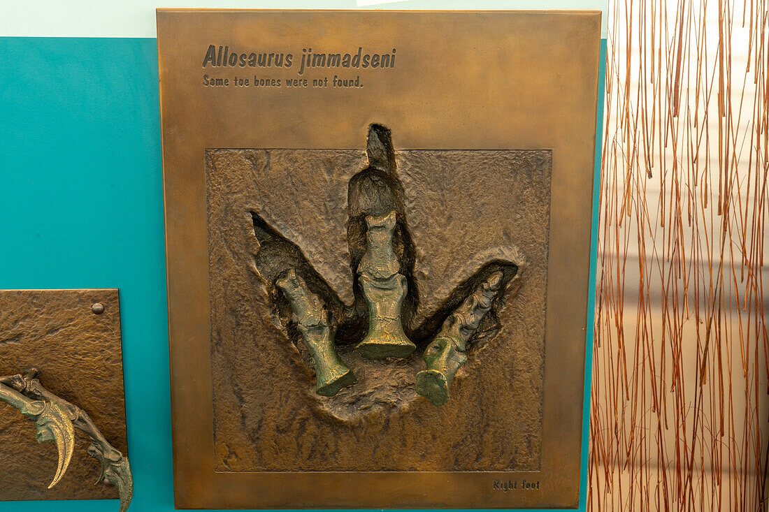 Bronzeabguss der Fußknochen eines Allosaurus jimmadseni in der Quarry Exhibit Hall des Dinosaur National Monument in Utah