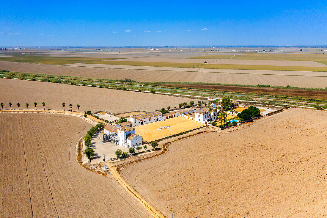 Aerial views of the Isla Mínima ranch, cortijo. Isla Mayor, Seville Spain. SE-30. CORIA DEL RIO. PUEBLA DEL RIO. VENTA EL CRUCE. ISLA MAYOR. FINCA ISLA MINIMA.