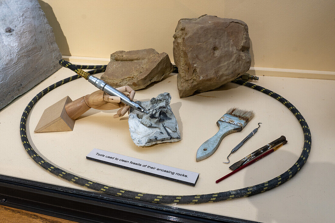 Werkzeuge, die von Paläontologen bei der Ausgrabung von Fossilien verwendet wurden, im USU Eastern Prehistoric Museum in Price, Utah