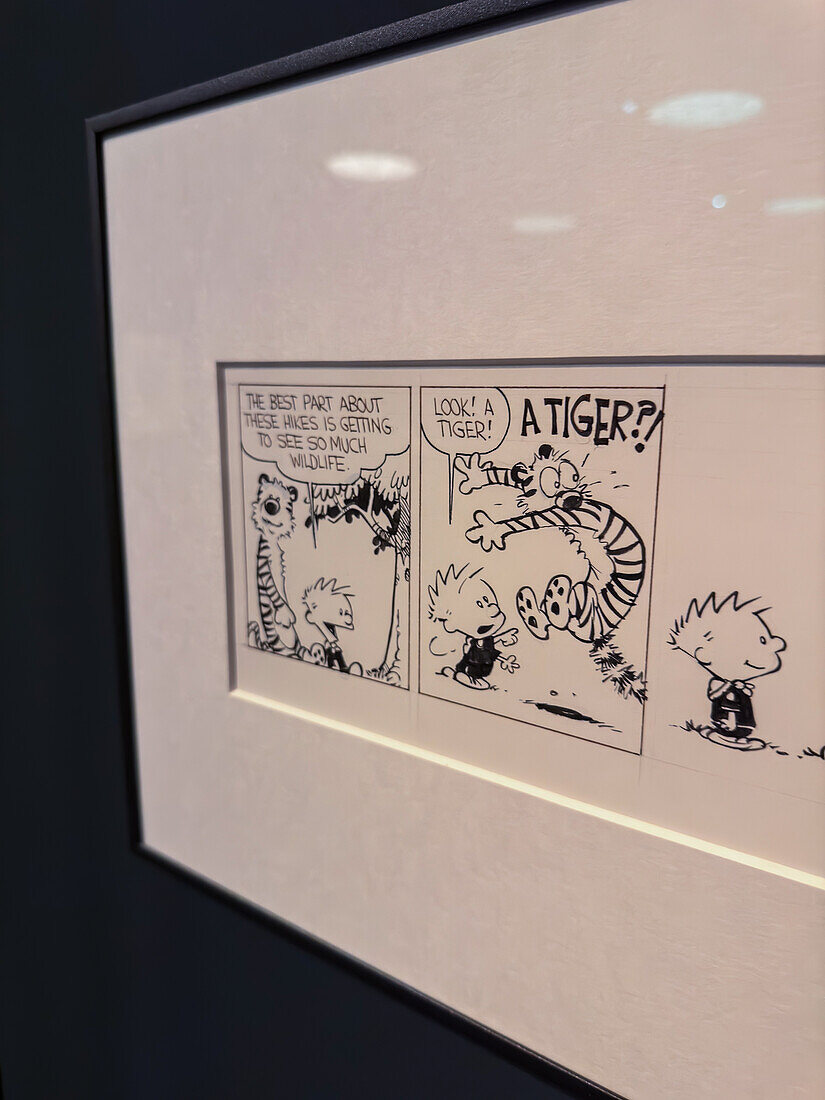 Calvin & Hobbes by Bill Waterson.