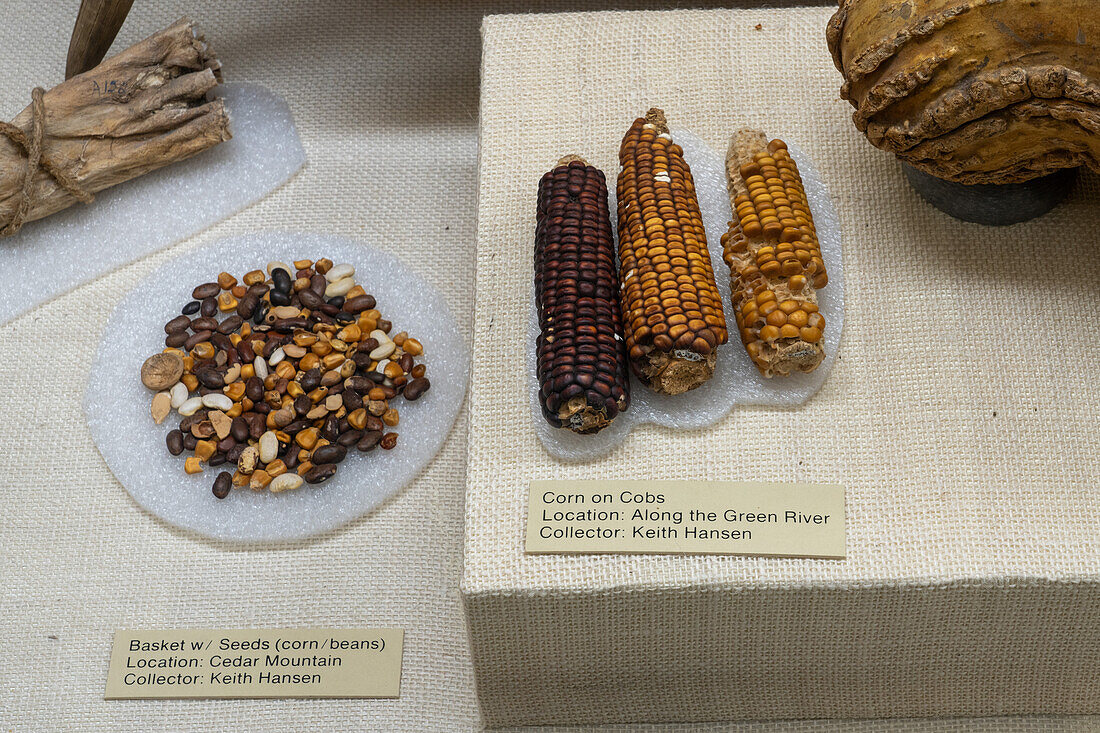 Antike Lebensmittelartefakte aus Mais und Bohnen der amerikanischen Ureinwohner im USU Eastern Prehistoric Museum in Price, Utah