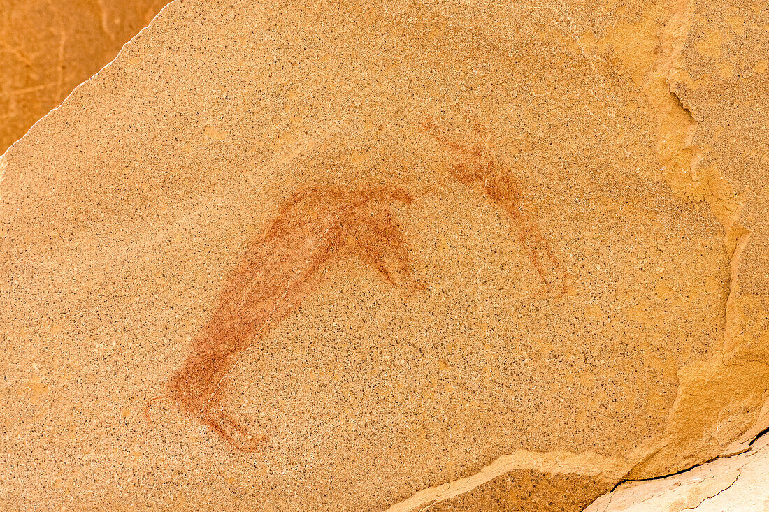 Piktogramme der amerikanischen Ureinwohner an der Waving Hands Canyon Interpretive Site, Canyon Pintado National Historic District in Colorado. Prähispanische indianische Felszeichnungen auf der Unterseite eines Felsbretts