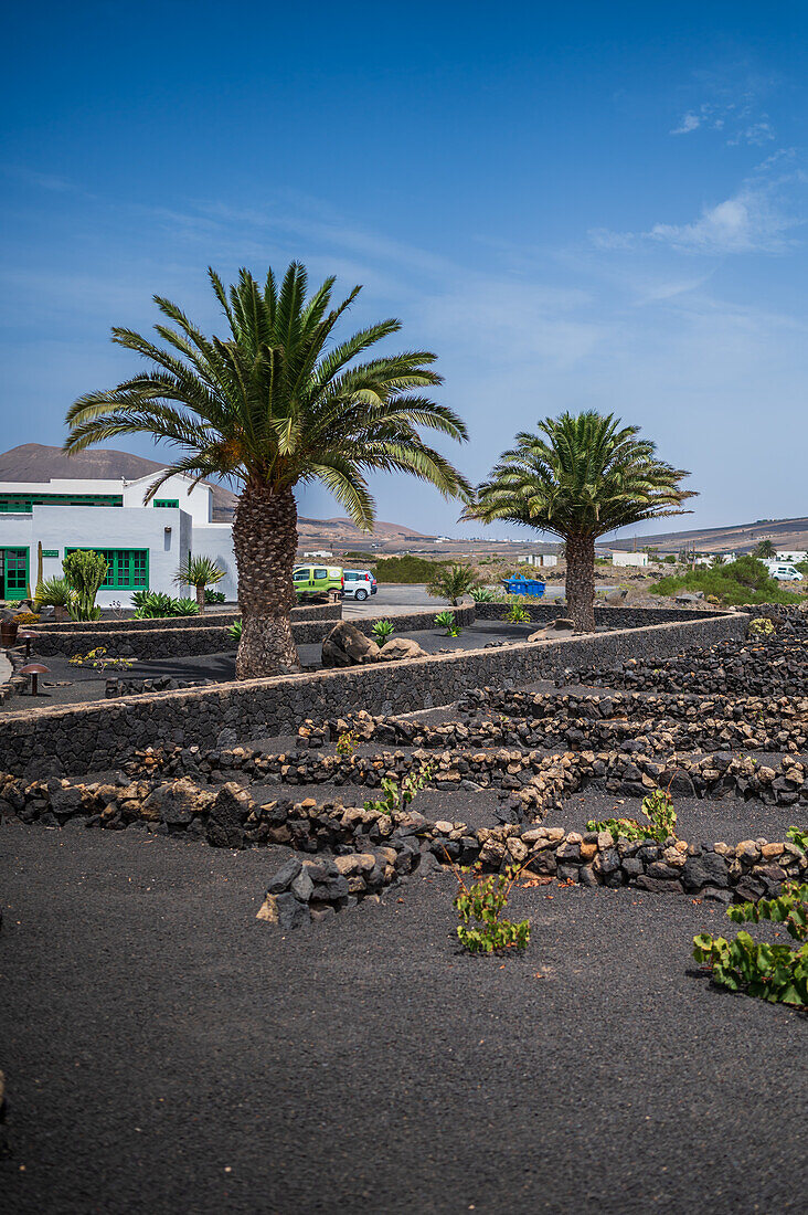 Casa Museo del Campesino (Hausmuseum des Bauern), entworfen von César Manrique auf Lanzarote, Kanarische Inseln, Spanien