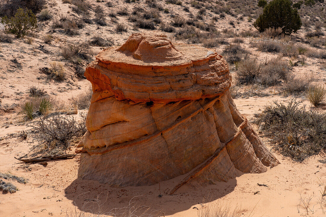 Eroded Navajo sandstone rock formations near South Coyote Buttes, Vermilion Cliffs National Monument, Arizona.