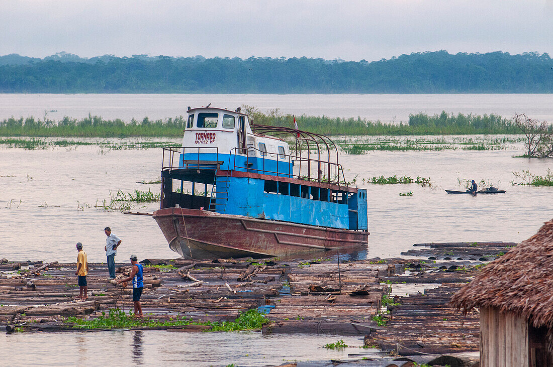 Boats transporting cut wood in the Amazon River, Iquitos, Loreto, Peru, South America.
