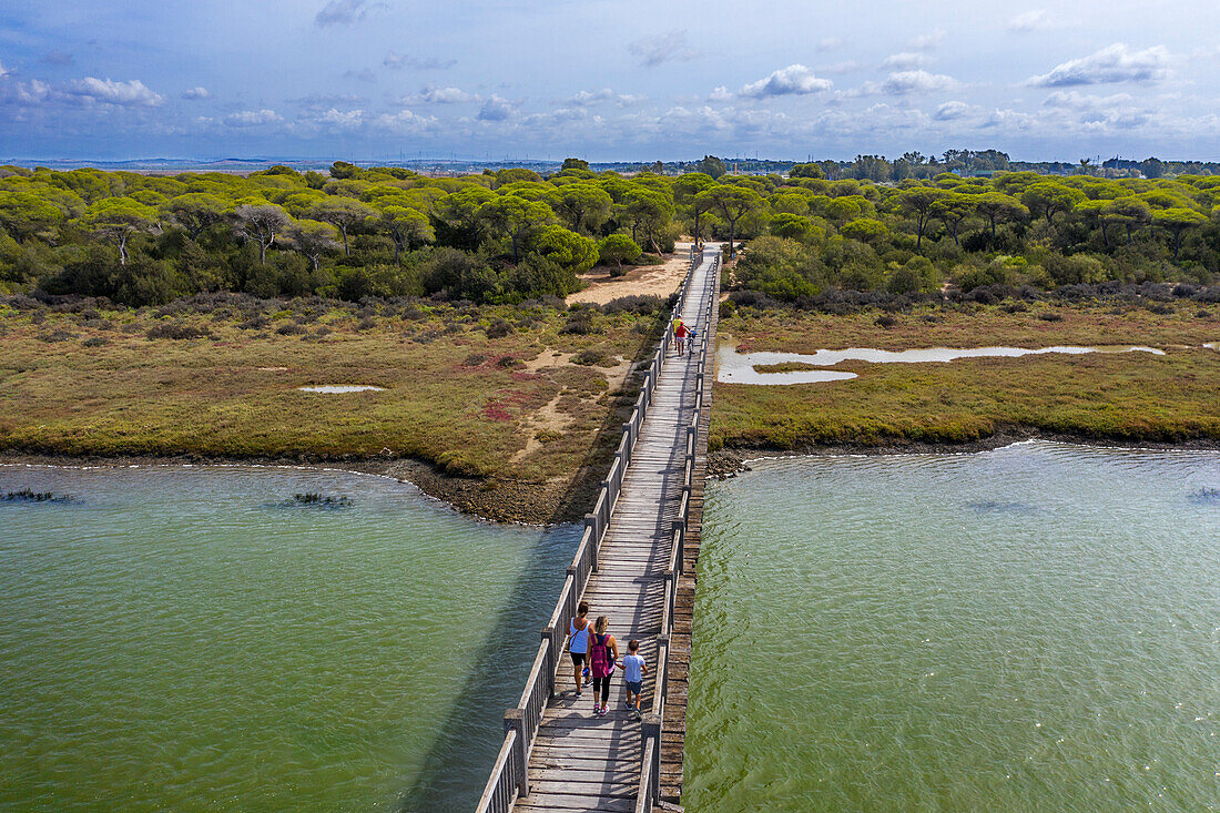 Aerial view on marshlands and saltworks, Bahia de Cadiz Natural Park. Costa de la Luz, Cadiz province, Andalucia, Spain. The wooden bridge over the San Pedro River also referred to as Puente de la Algaida or Puente Mirador Río San Pedro is a pedestrian walkway that joins the banks of the Spanish municipalities of Puerto de Santa María and Puerto Real, crossing the San Pedro River. Pedro, a sea arm of the Atlantic Ocean.