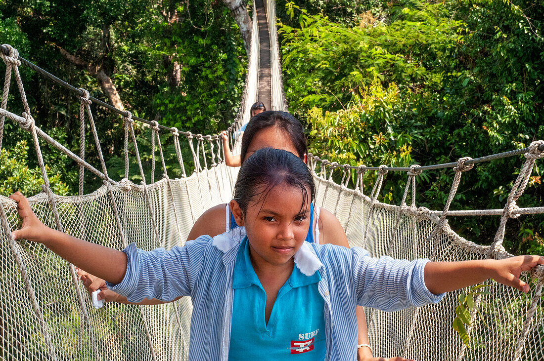 Elevated canopy walk hanging bridges. A rain forest canopy walkway in the Amazon forest tambopata national park, at the Inkaterra amazonica reserve. Visitors have a birds eye view from the Amazon jungle canopy walkway at river napo camp Explorama tours in Peru. Iquitos, Loreto, Peru. The Amazon Canopy Walkway, one of the longest suspension bridges in the world, which will allow the primary forest animals from a height of 37 meters and is suspended over the 14 tallest trees in the area.