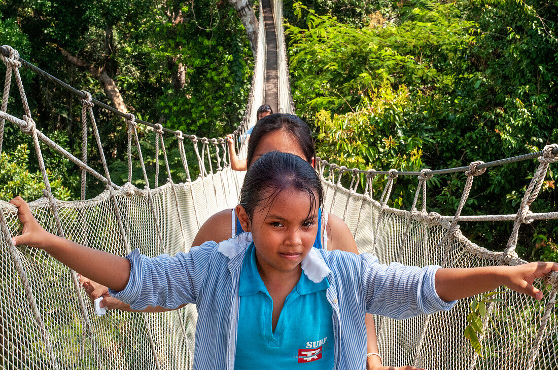 Erhöhte Hängebrücken des Canopy Walk. Ein Regenwald-Hängebrückenpfad im Tambopata-Nationalpark im Reservat Inkaterra amazonica. Besucher haben einen Blick aus der Vogelperspektive vom Amazonas-Dschungel Laufsteg am Fluss Napo Camp Explorama Touren in Peru. Iquitos, Loreto, Peru. Der Amazon Canopy Walkway, eine der längsten Hängebrücken der Welt, die es ermöglicht, die Tiere des Primärwaldes aus einer Höhe von 37 Metern zu beobachten und über die 14 höchsten Bäume der Region zu schweben