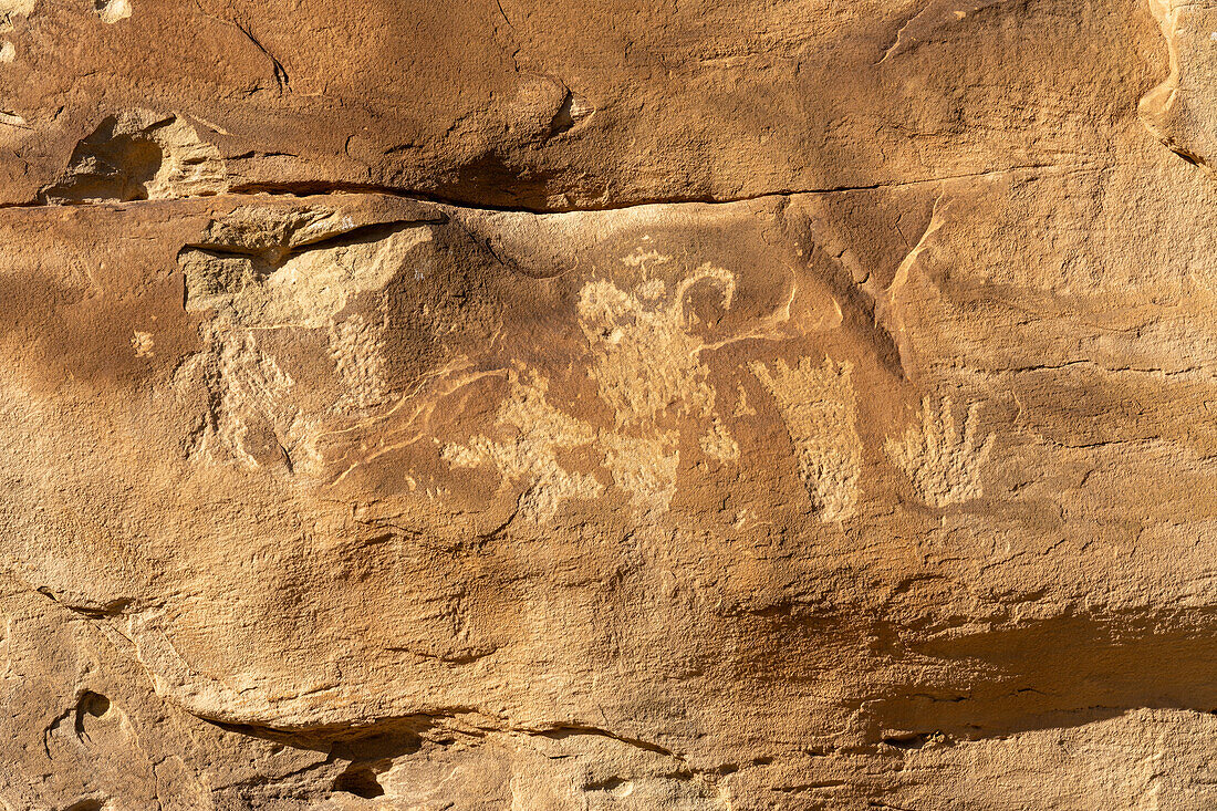 Native American petroglyph panel at the East Four Mile Canyon Interpretive Site, Canyon Pintado National Historic District in Colorado. Pre-Hispanic Native American rock art.