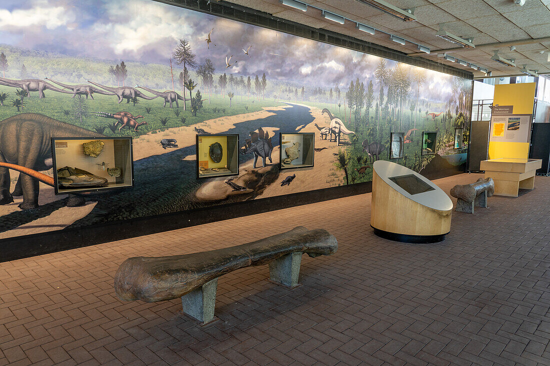 Fossil exhibits in the Quarry Exhibit Hall in Dinosaur National Monument. Jensen, Utah. Note the benches shaped like dinosaur leg bones.