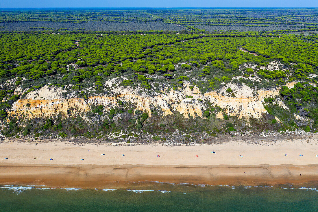 Luftaufnahme des Strandes Fontanilla Sand und Klippen, Mazagon, Costa de la Luz, Provinz Huelva, Andalusien, Spanien, Europa