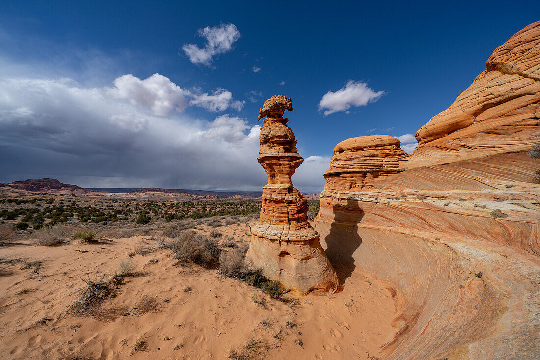 The Chess Queen or Totem Pole is an eroded sandstone tower near South Coyote Buttes, Vermilion Cliffs National Monument, Arizona.