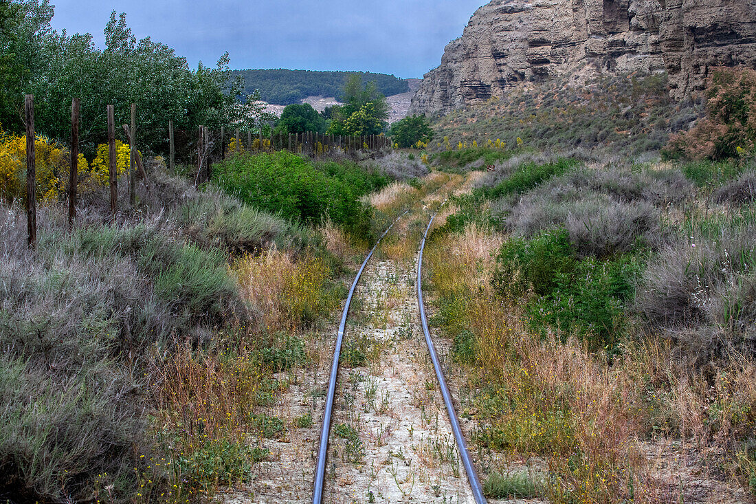 Laguna del Campillo, Rivas Vaciamadrid, El Tren de Arganda train or Tren de la Poveda train in Arganda del Rey, Madrid, Spain.