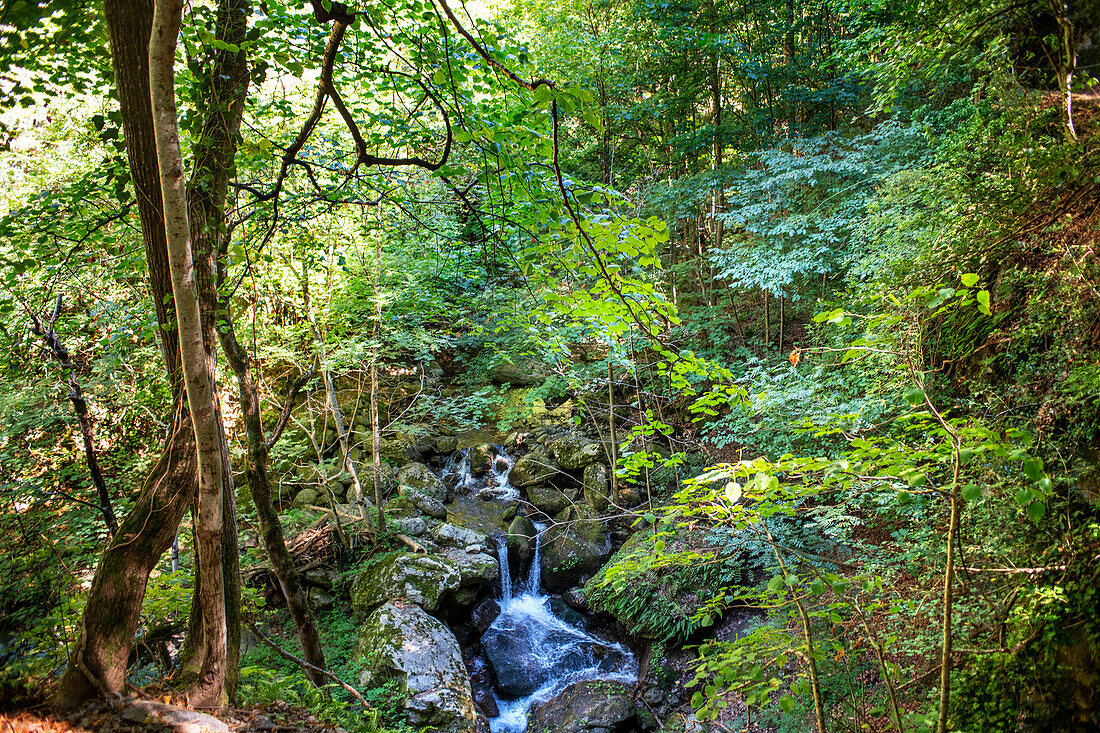 Wanderweg durch die Gorges de la Carança, Pyrénées-Orientales, Languedoc-Roussillon, Frankreich