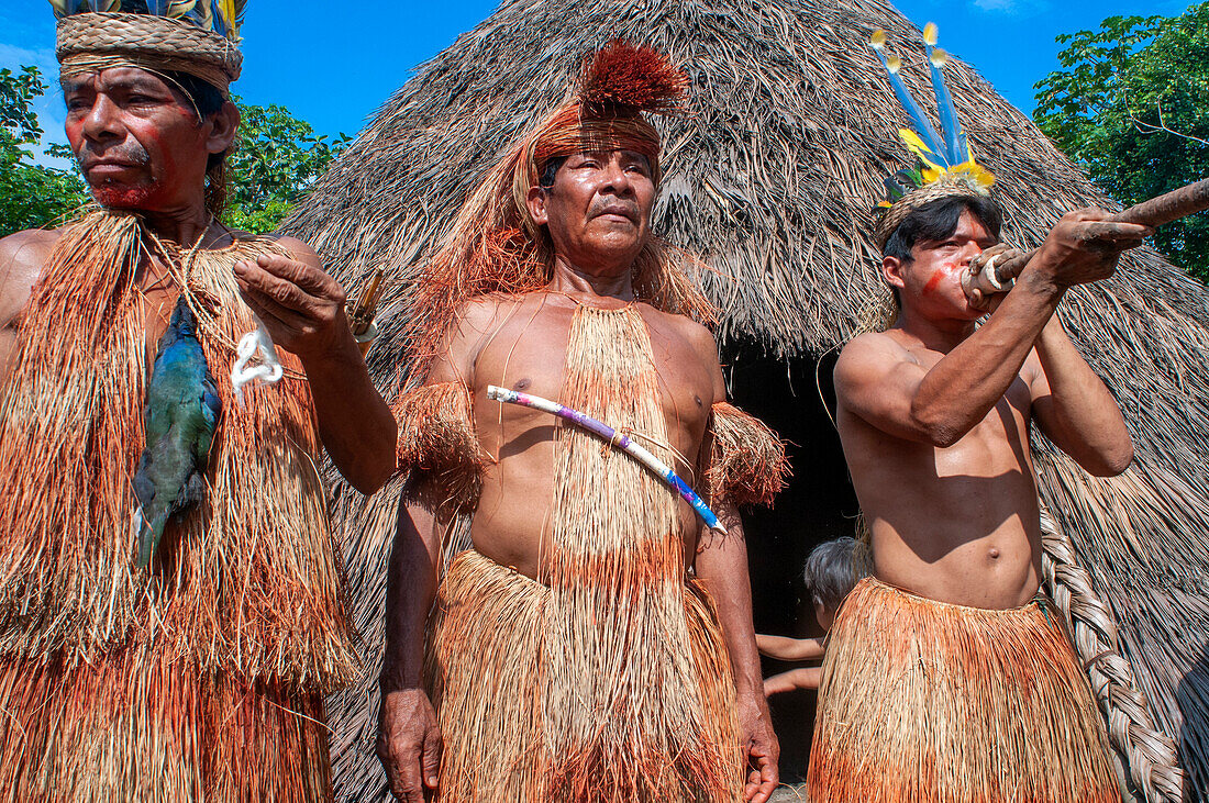 Jagd auf Blasrohrpfeile, Yagua-Indianer, die in der Nähe der amazonischen Stadt Iquitos, Peru, ein traditionelles Leben führen